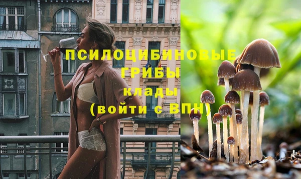 кокаин колумбия Новодвинск