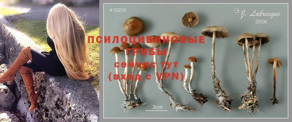 apvp Ветлуга