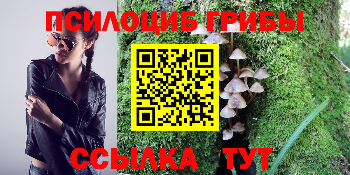 Серпухов  Псилоцибиновые грибы Psilocybe  дарнет шоп  Вход с VPN 